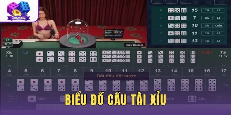 Biểu Đồ Cầu Tài Xỉu