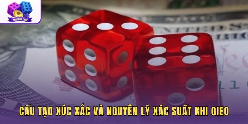 Cách soi mặt xí ngầu dựa trên cấu tạo và xác suất từng mặt số
