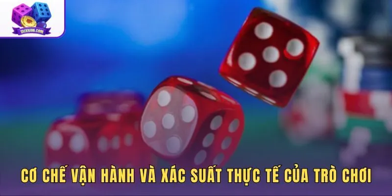Quy luật tài xỉu online qua phân bố xác suất 216 tổ hợp xúc xắc