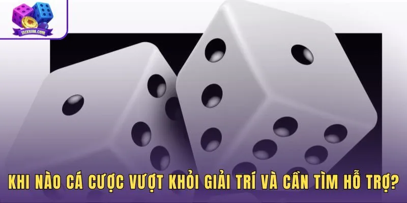 Dấu hiệu kiểm soát tâm lý cược không còn đủ và cần hỗ trợ chuyên môn