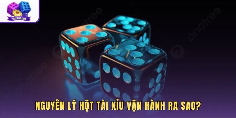 Nguyên lý hột tài xỉu qua ba lớp xác suất tổ hợp xúc xắc