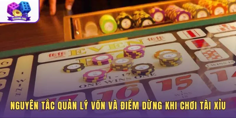 Kinh nghiệm chơi tài xỉu với kỷ luật chia vốn và giới hạn dừng lỗ rõ ràng