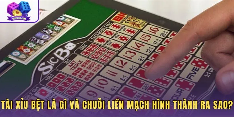 Tài xỉu bệt là gì nhịp lặp kết quả cùng cửa trên bảng thống kê