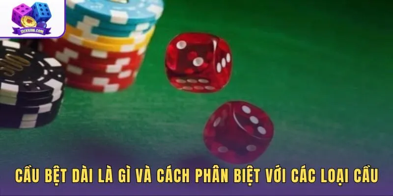 Nuôi cầu bệt dài và ranh giới với cầu đảo hay cầu 1-1
