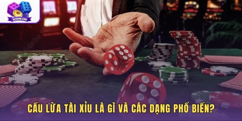 Nhận biết cầu lừa qua ranh giới giữa cầu thật và ảo giác quy luật