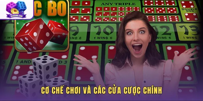co-che-choi-va-cac-cua-cuoc-chinh