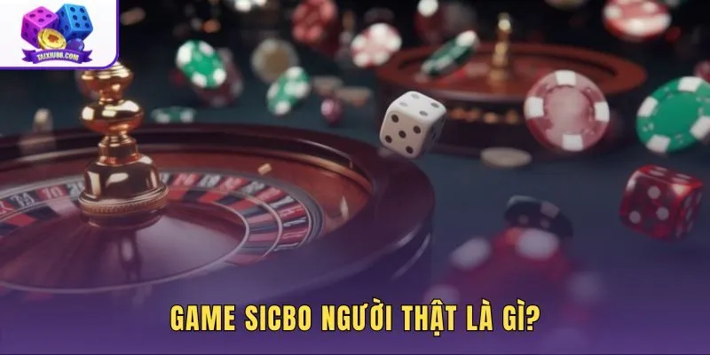 Game Sicbo người thật cùng nhịp ván live trực tiếp